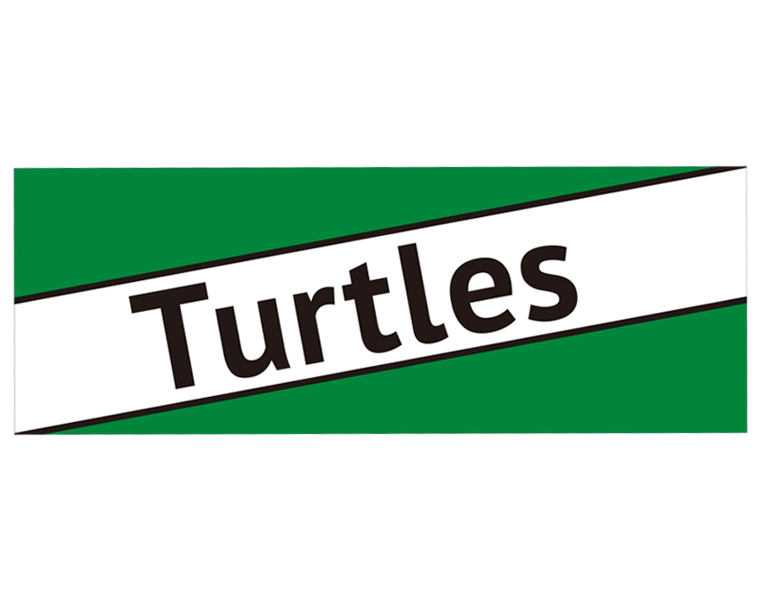 Turtles様スポーツタオル
